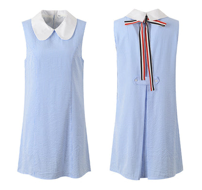 Blue & White Striped Contrast Collar Shirt Dress